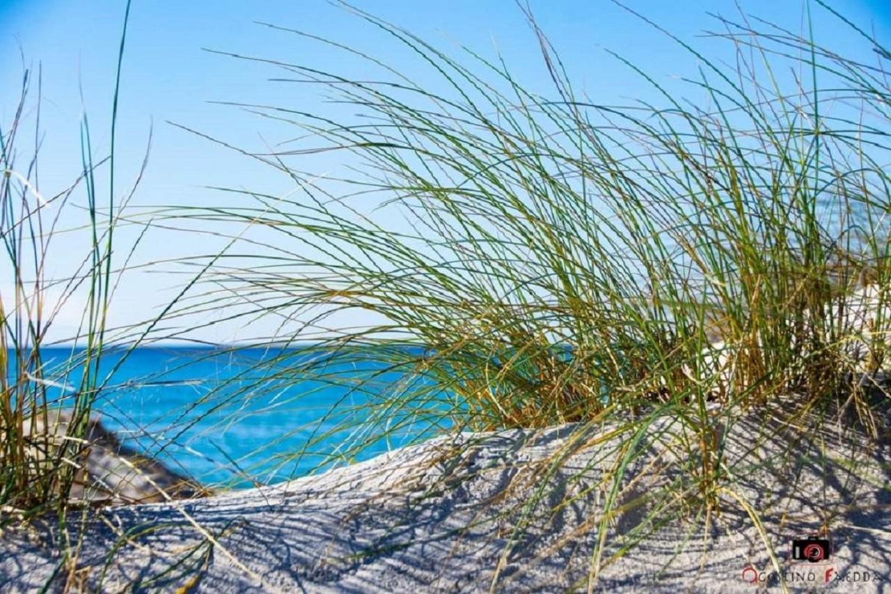 Casa Vacanza Le Dune Βίλα SantʼAnna Arresi Εξωτερικό φωτογραφία
