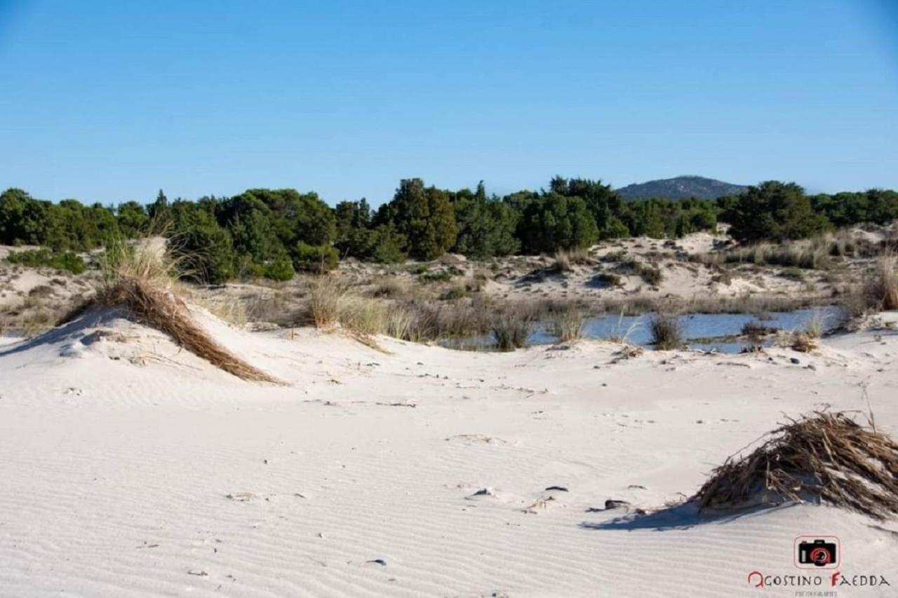 Casa Vacanza Le Dune Βίλα SantʼAnna Arresi Εξωτερικό φωτογραφία